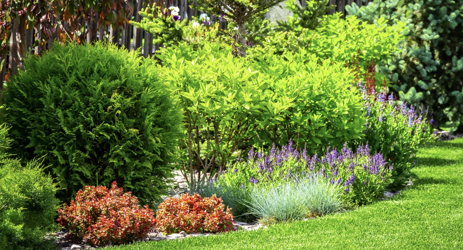 Landscaping Services in Gramercy Park, FL