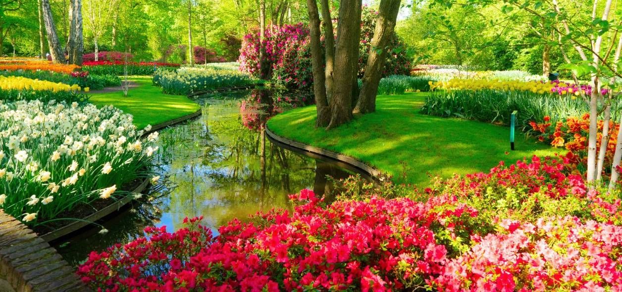 Landscaping Sewalls Point FL