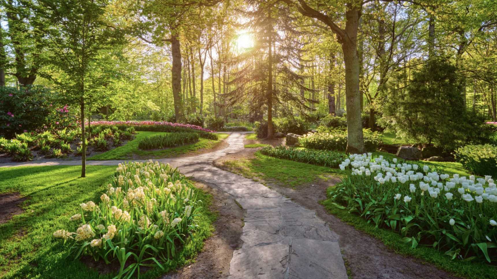 Landscaping Services in Blowing Rocks, FL