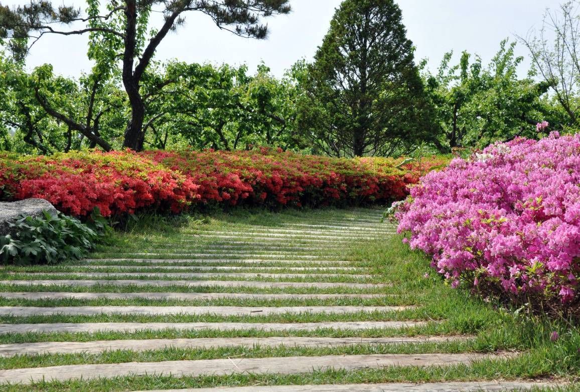 Landscaping Sewalls Point FL