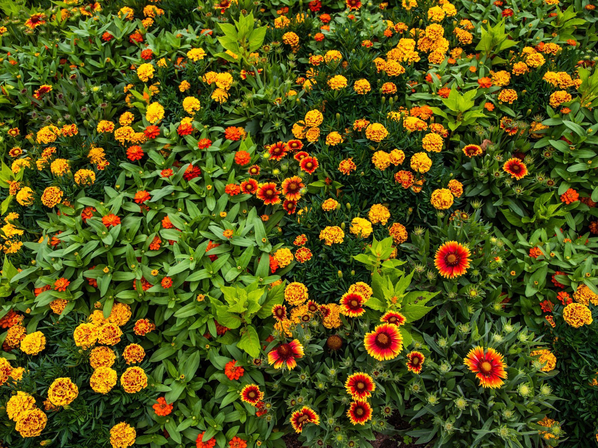 landscaping tequesta fl