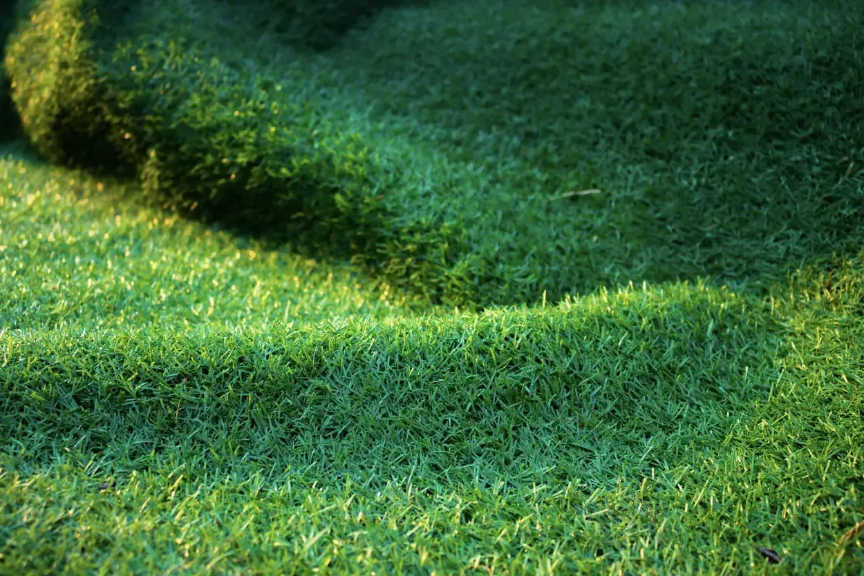 artificial grass jupiter fl