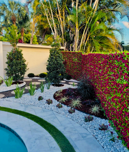 A swimming pool surrounded by a lush green garden and a red hedge in Jupiter, FL.