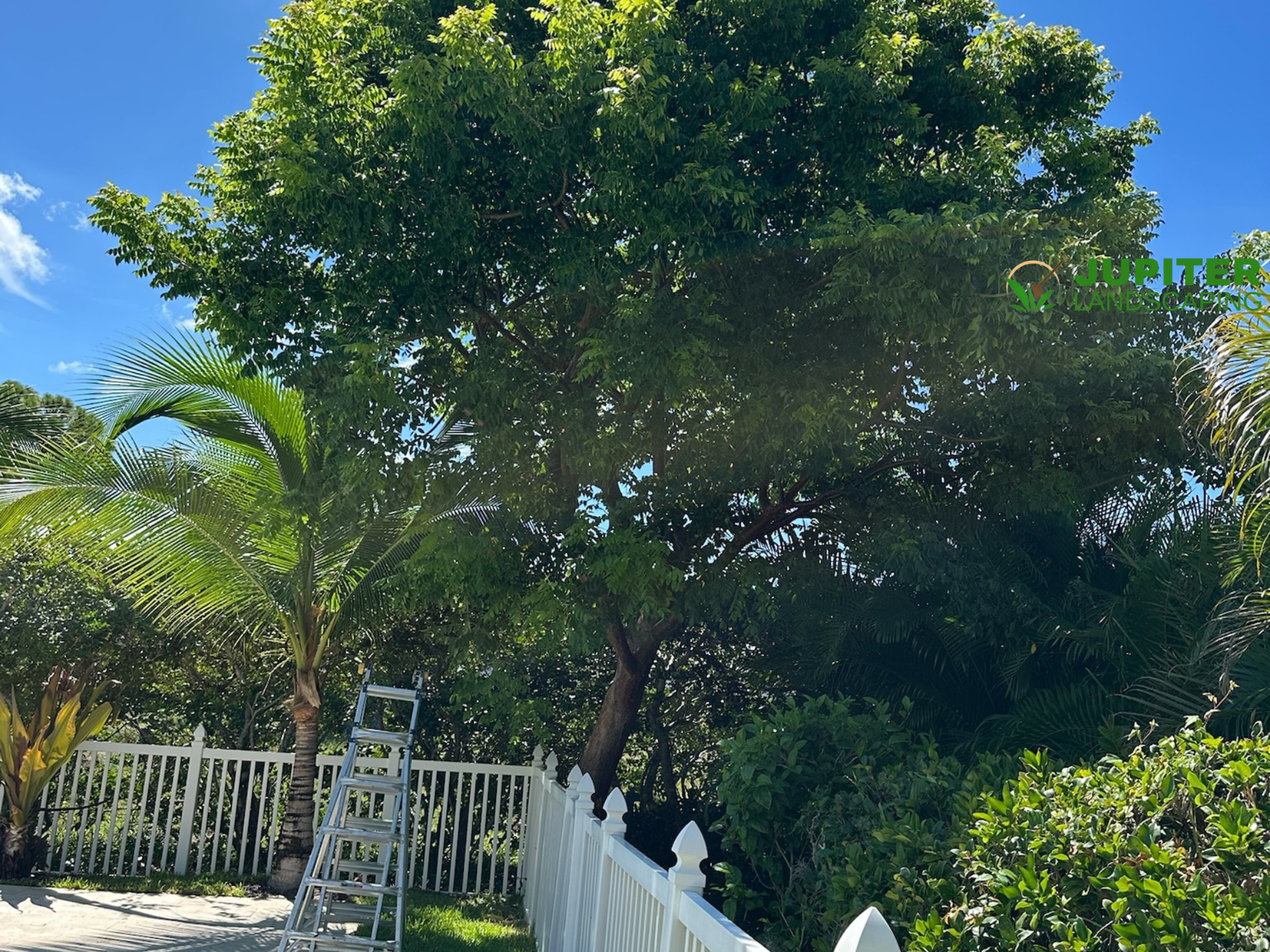 landscaping boynton beach