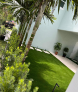 There is a palm tree in the middle of the yard.