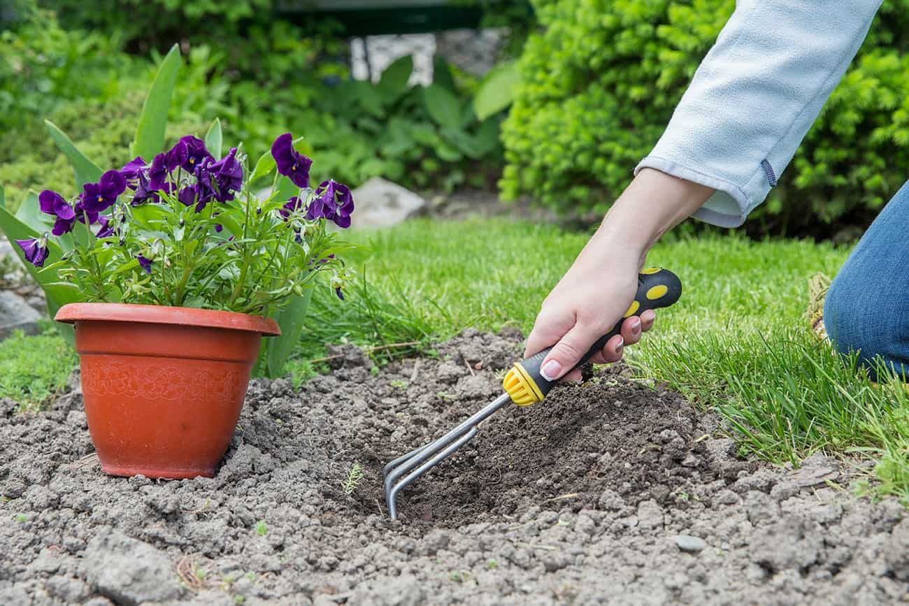 mulching in jupiter, FL