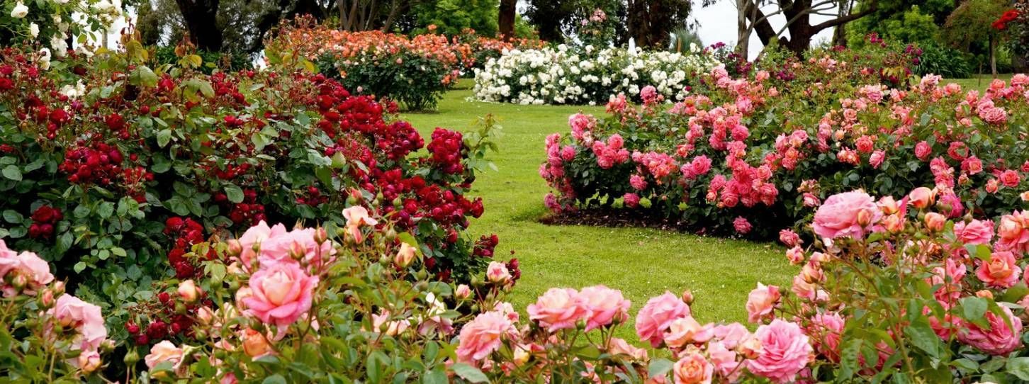 west palm beach lawn care