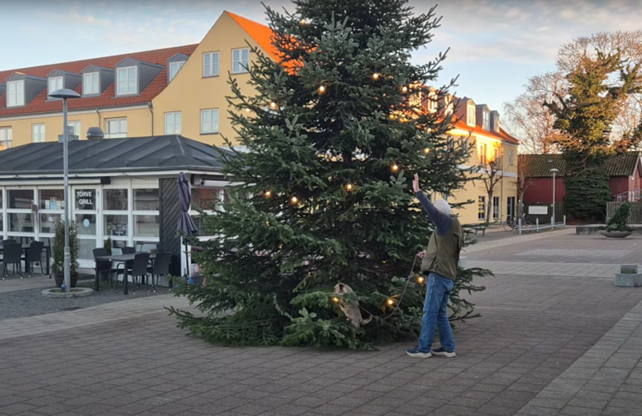 Dagens Sirius søg (juletræ)