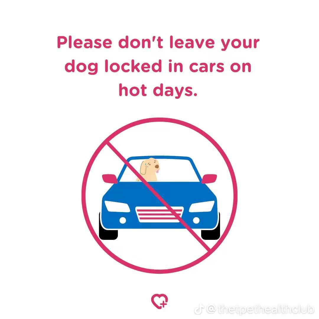 A sign that says please do n't leave your dog locked in cars on hot days