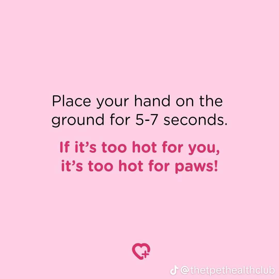 Place your hand on the ground for 5-7 seconds if it 's too hot for you , it 's too hot for paws !