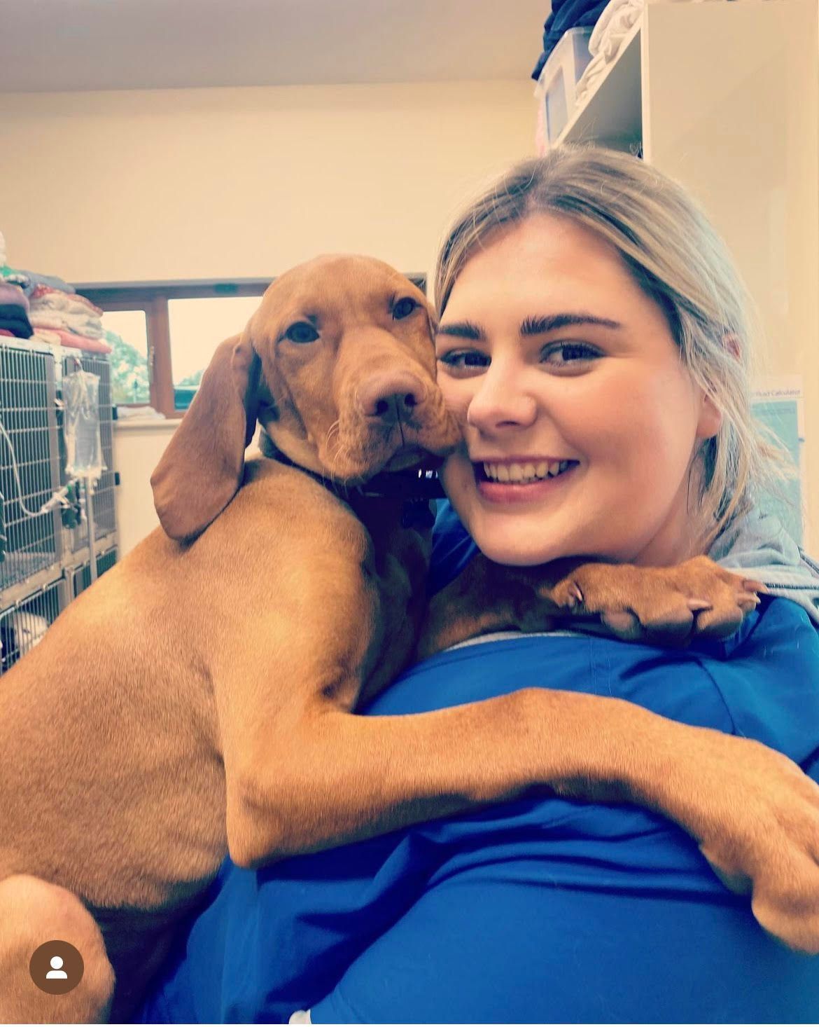 A woman in a blue shirt is holding a brown dog