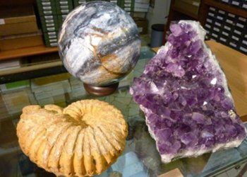 ammonite and amethyst on table