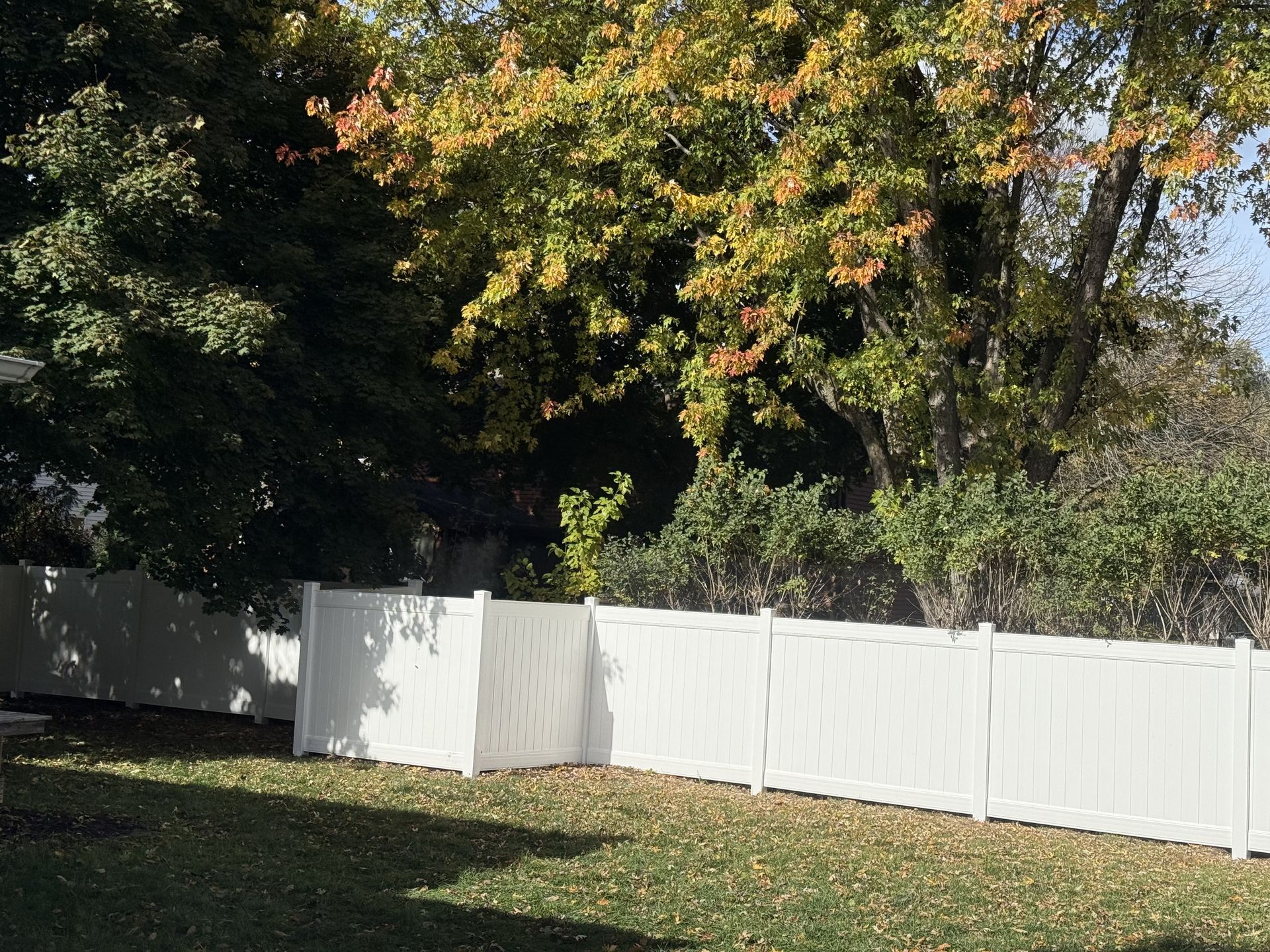 White vinyl fence in a backyard with green grass and trees in the background.