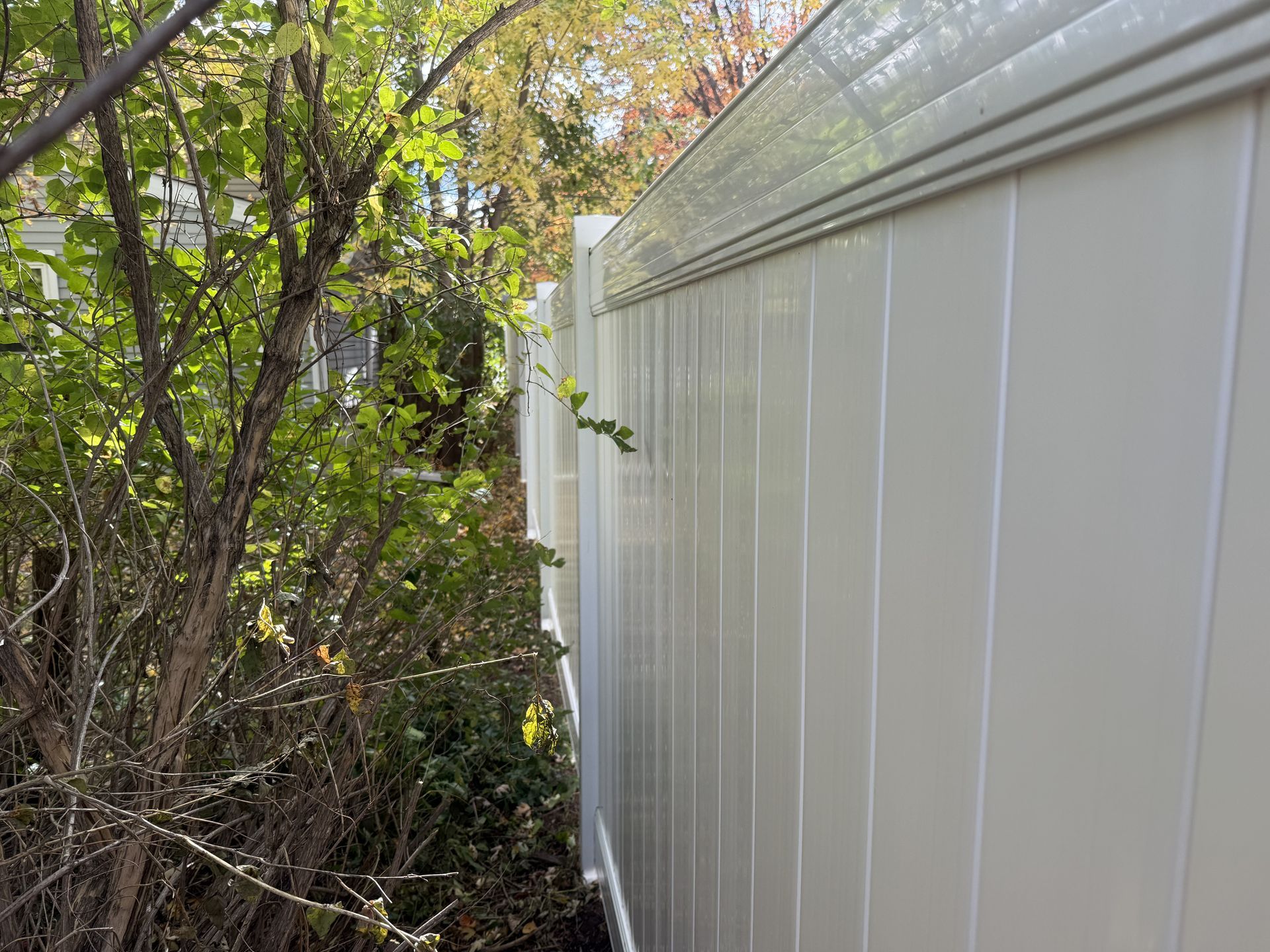 White vinyl fence next to a bush in a backyard.