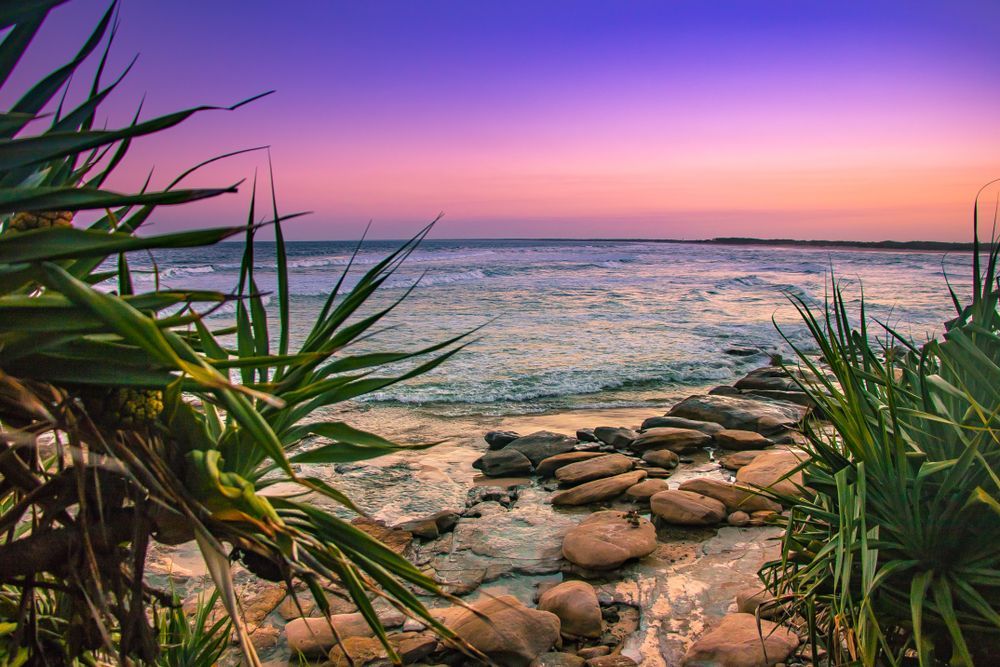 Ocean Shore At Sunset, Framed By Green Plants — K. Smith & Son Jewellers In Caloundra, QLD