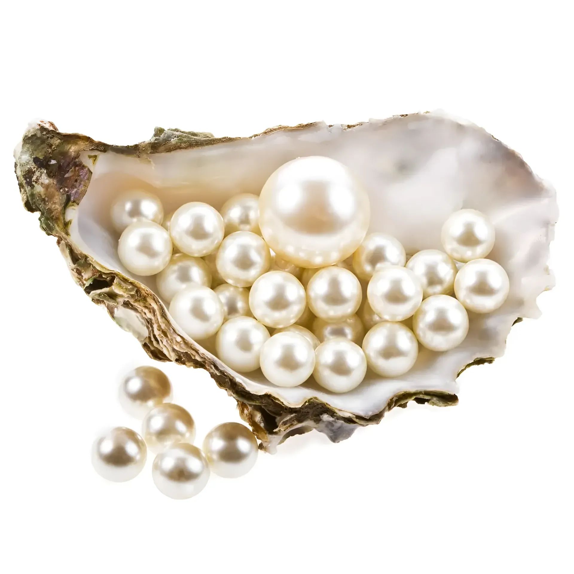 Oyster Shell Filled With White Pearls; A Large Pearl Sits Atop — K. Smith & Son Jewellers In Caloundra, QLD