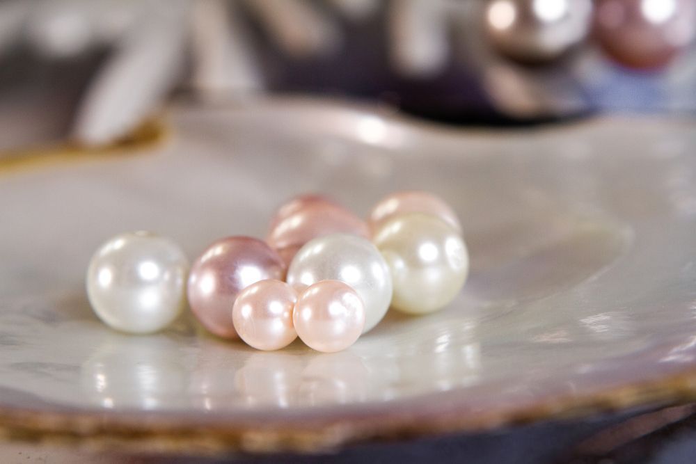 A Close Up of a Pile of Pearls on a Plate — K. Smith & Son Jewellers In Caloundra, QLD
