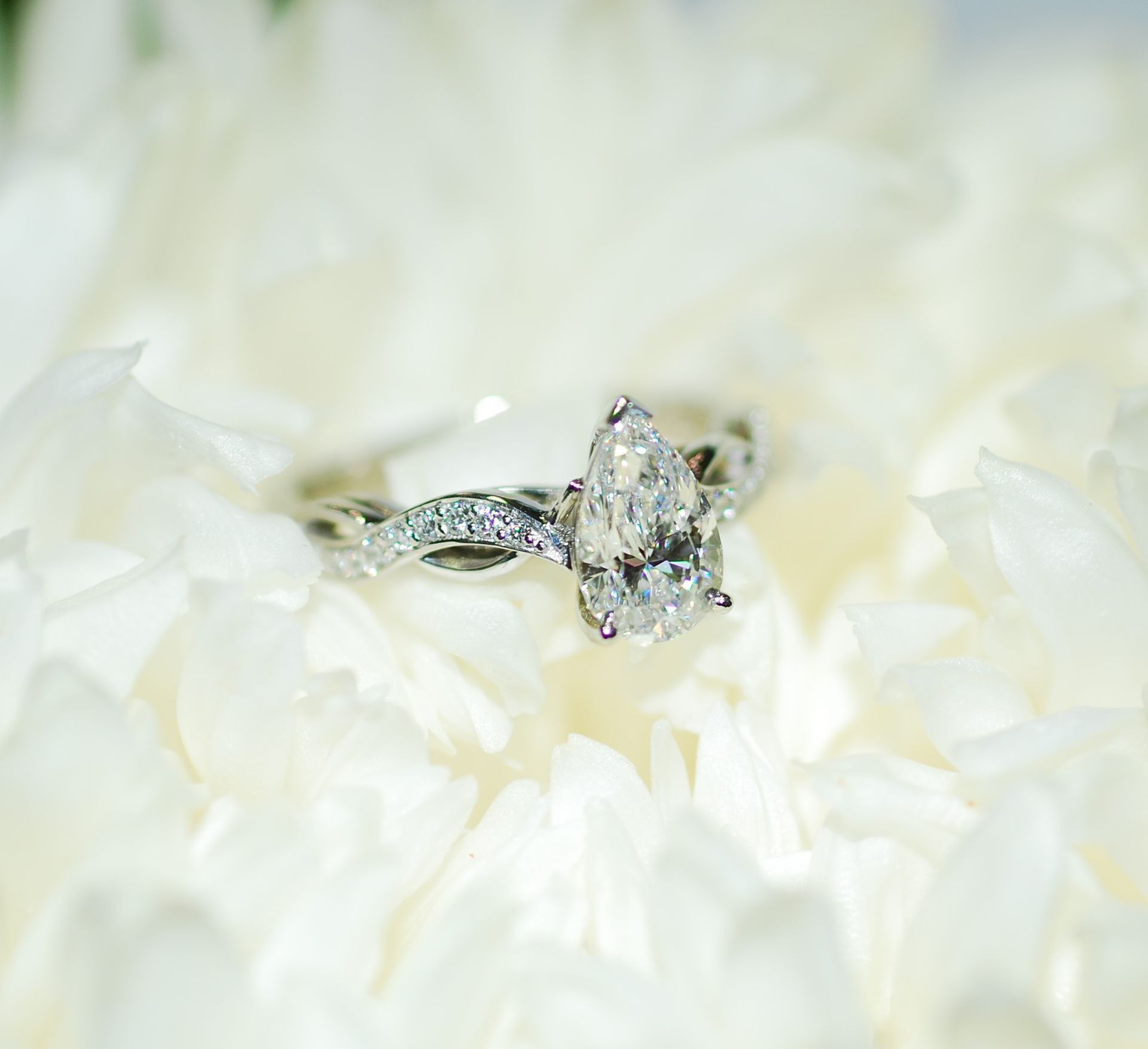 Pear-shaped diamond engagement ring on a bed of white flower petals — K. Smith & Son Jewellers In Caloundra, QLD
