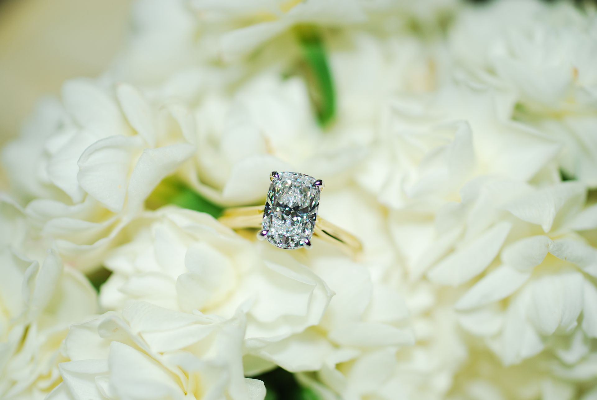 Engagement ring with two rectangular diamonds on white flowers  — K. Smith & Son Jewellers In Caloundra, QLD