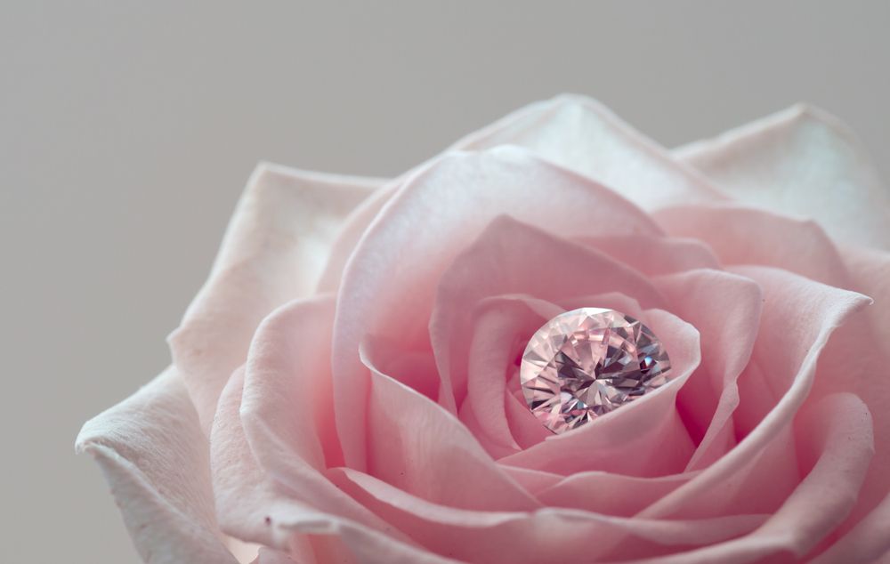 Pink Diamond Nestled In The Center Of A Soft Pink Rose — K. Smith & Son Jewellers In Caloundra, QLD