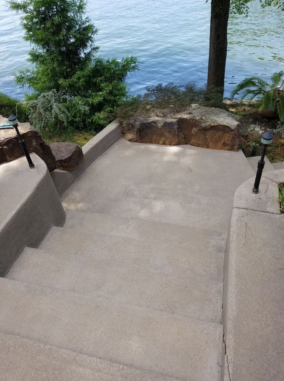 A set of stairs leading to a lake with a tree in the background.