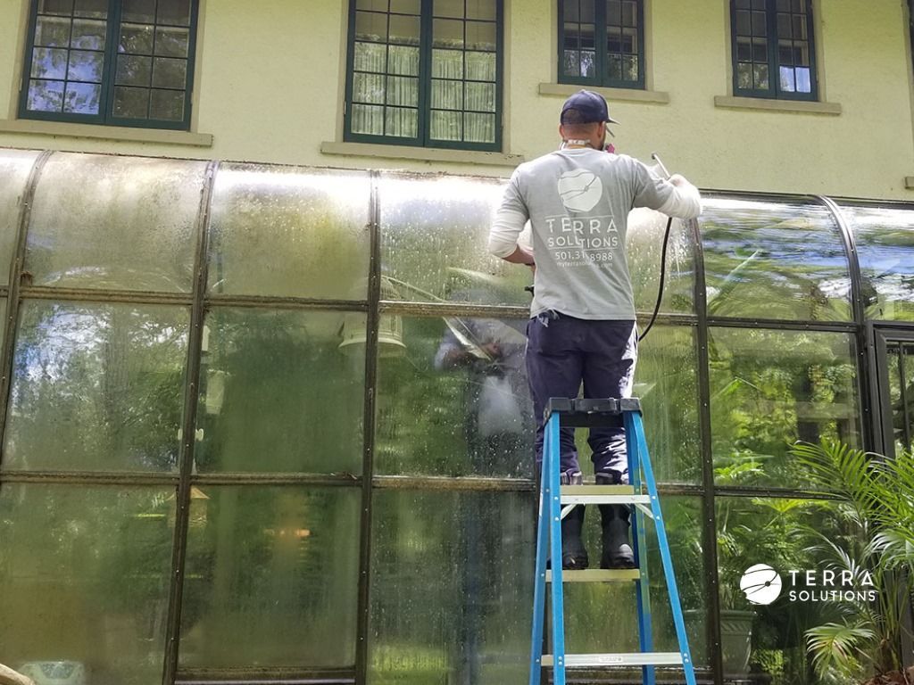 A man is standing on a ladder cleaning a greenhouse.