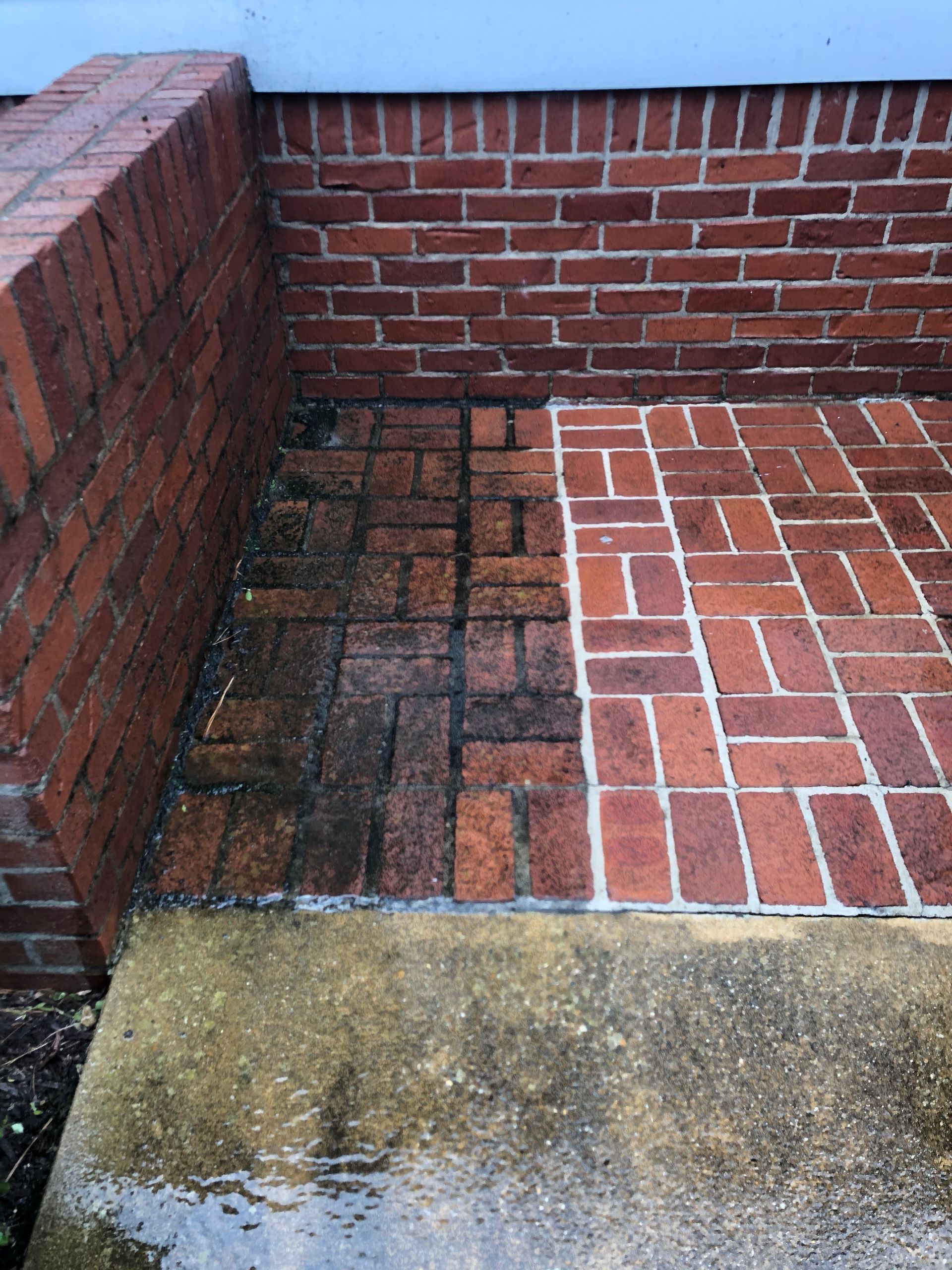 A picture of a brick walkway before and after being cleaned.