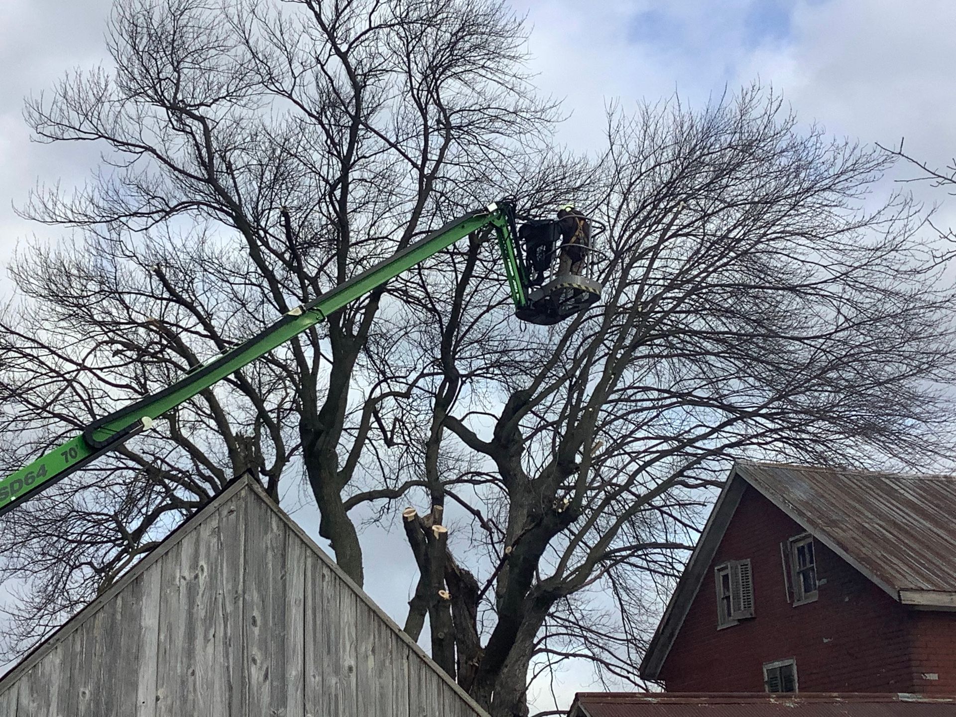 Tree trimming with a lift near buildings.
