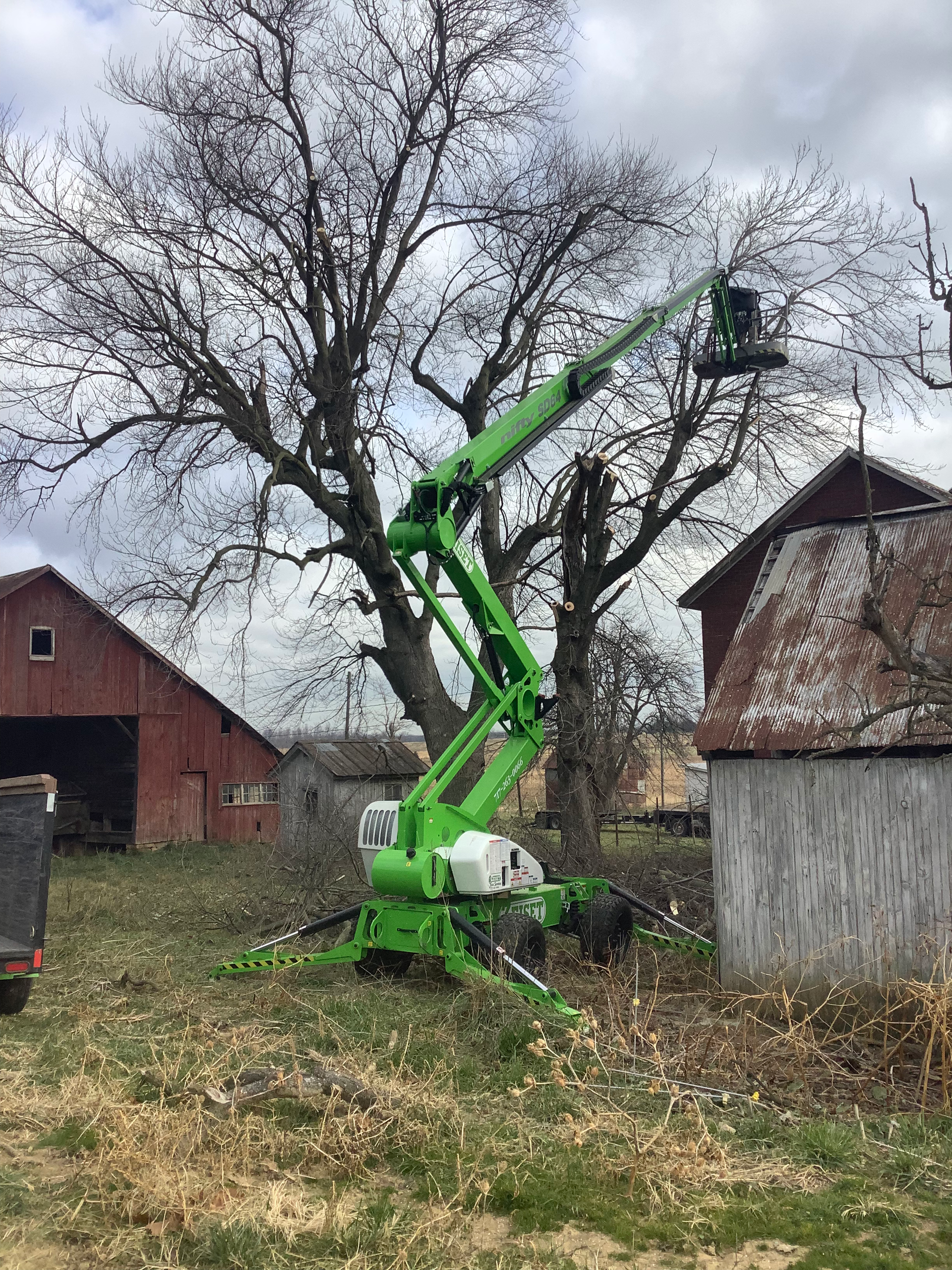 Green boom lift trimming branches of a large tree near a barn.
