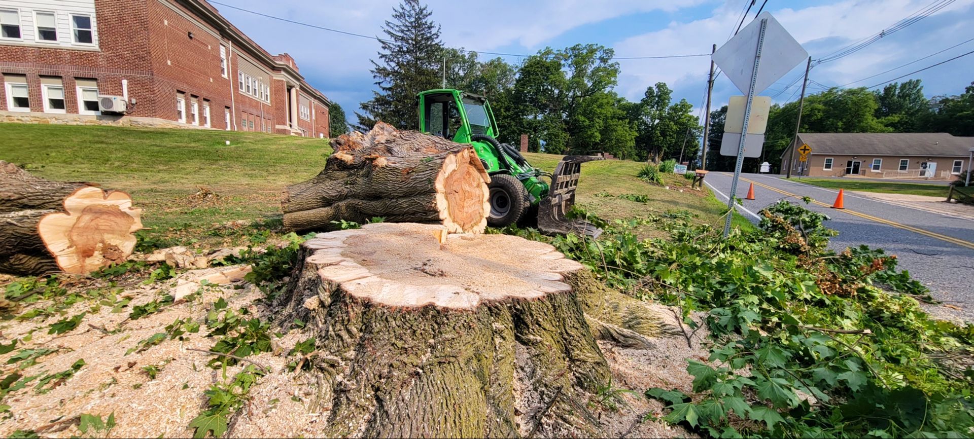 Stump of a cut tree with a green tractor, along a roadside next to a building.