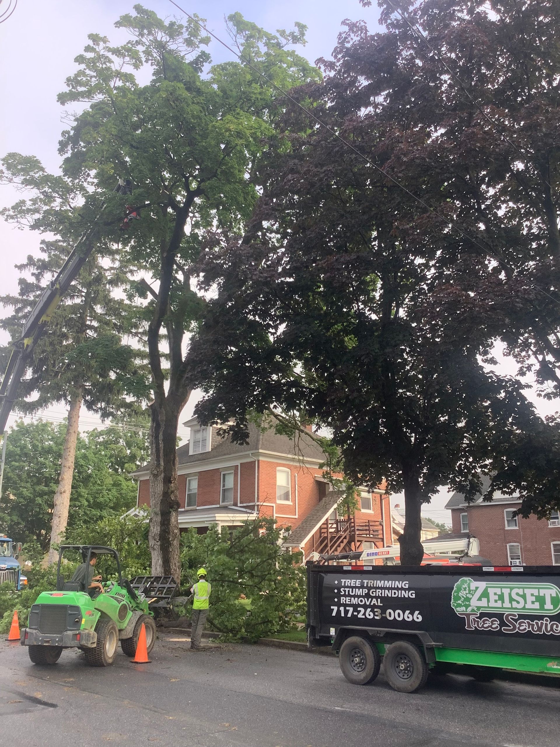 Tree trimming operation next to a house with a green bobcat, a worker, and a trailer.