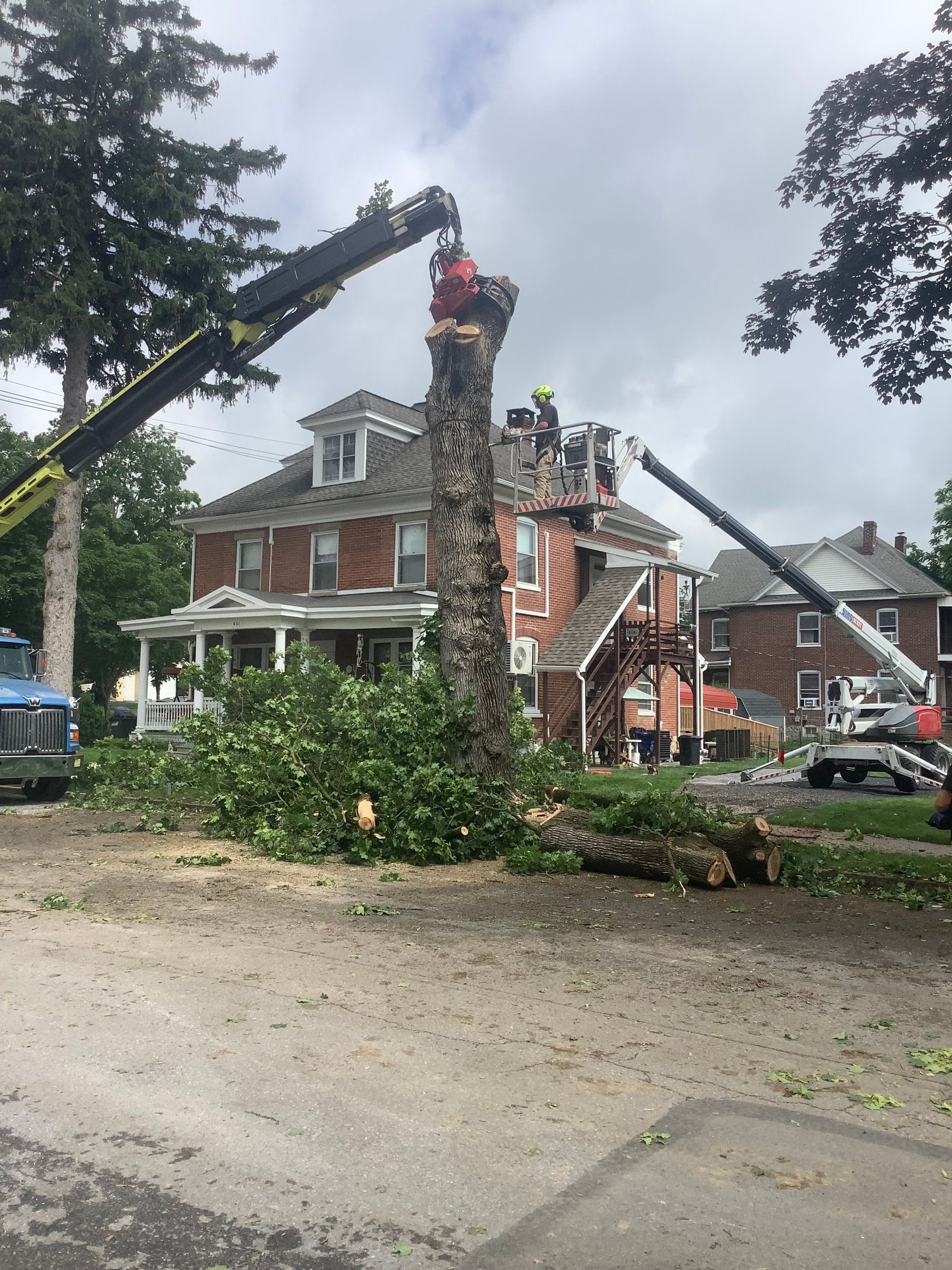 Tree removal in progress near a brick house. Two crane lifts with workers cutting the tree. Debris on the ground.