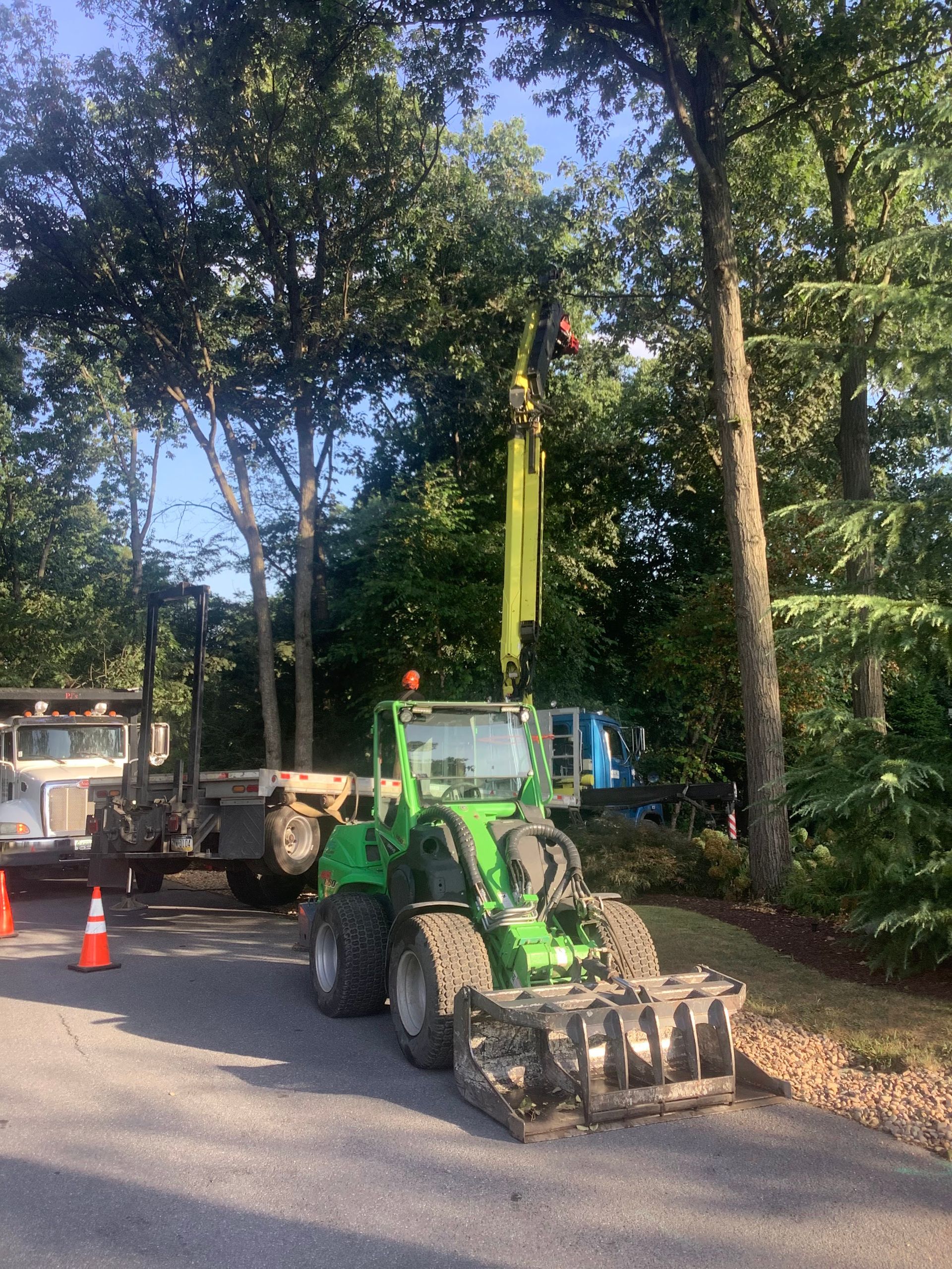 A green tree-trimming machine with a boom arm cutting a tree; truck and cones nearby.