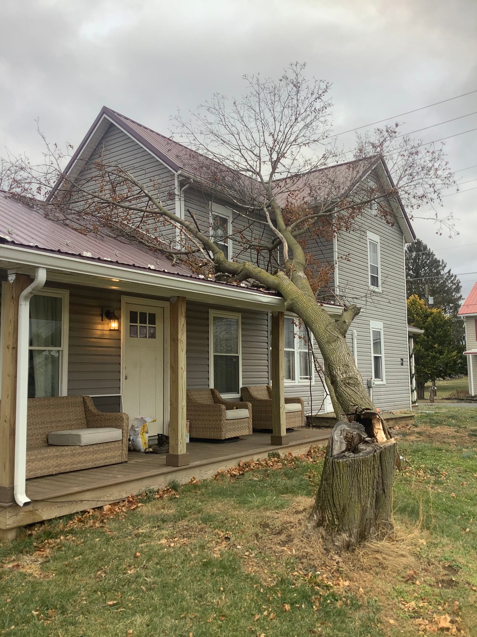 Two-story wooden house with a porch and damaged tree. Autumn leaves. Overcast day.