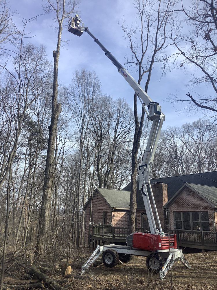 A tree trimming service worker in a lift basket is removing a tree branch. A house is in the background.