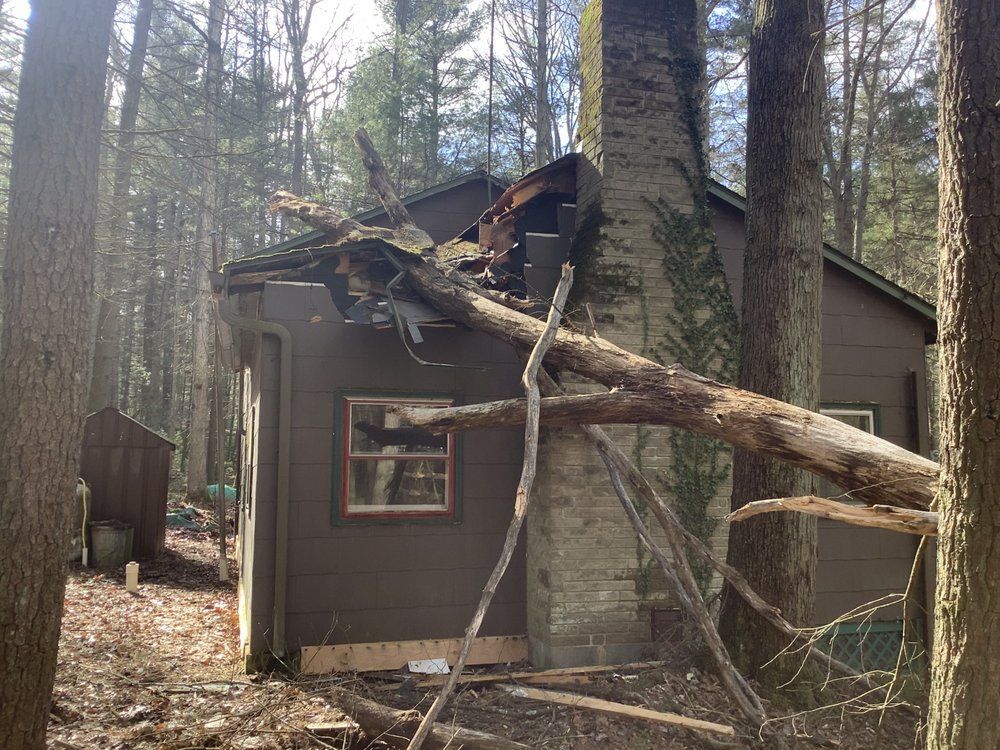 A cabin in the woods has a tree fallen on its roof, with a brick chimney and brown siding.