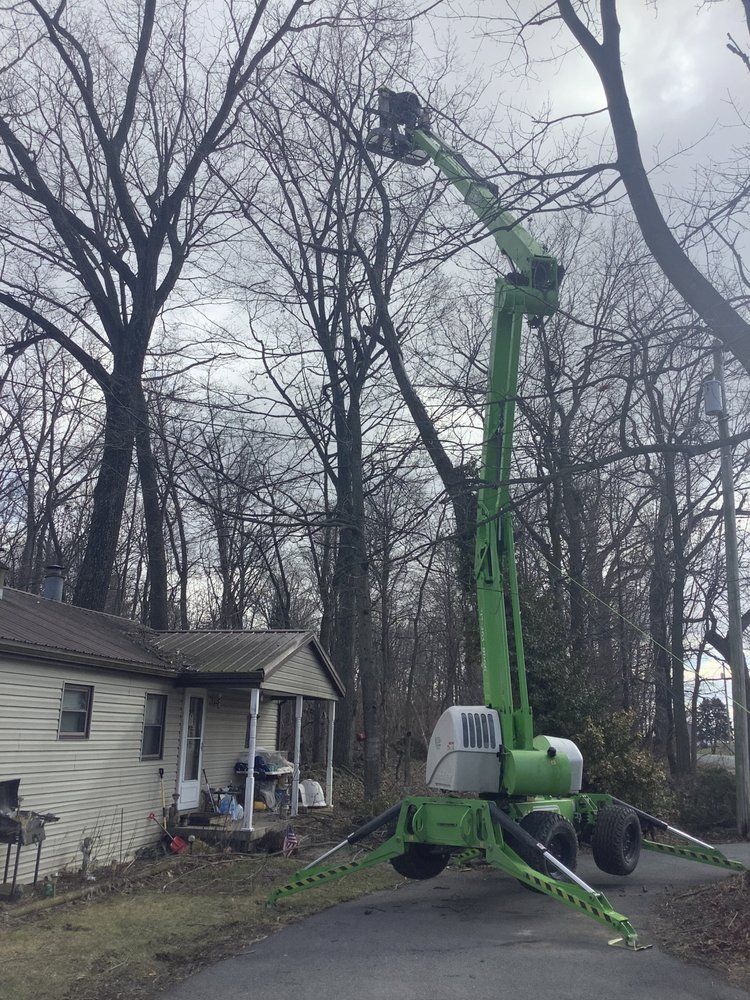 Green aerial lift trimming a tree near a house on a cloudy day.