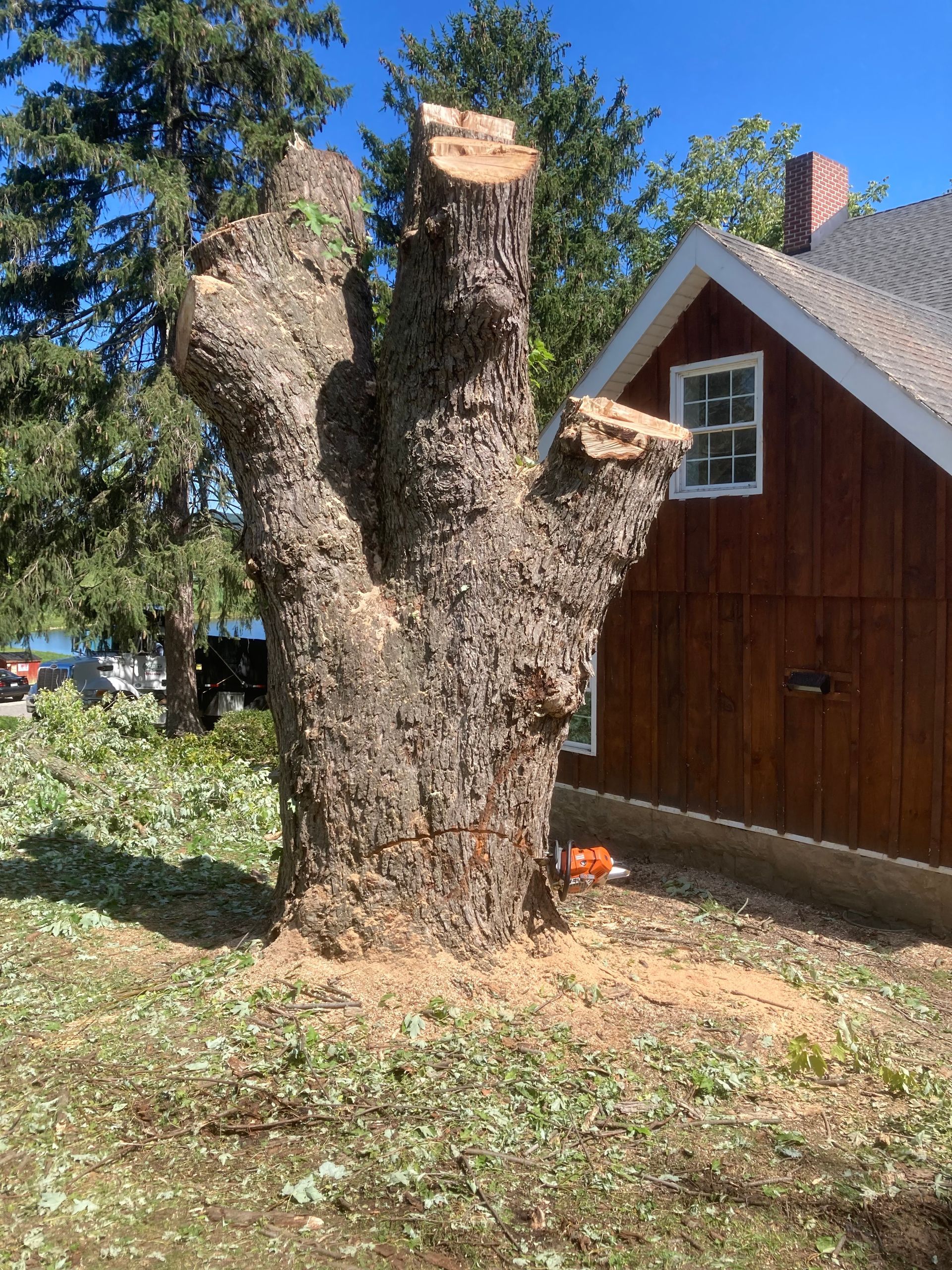 A partially cut tree trunk with large branches near a brown building with a white window.