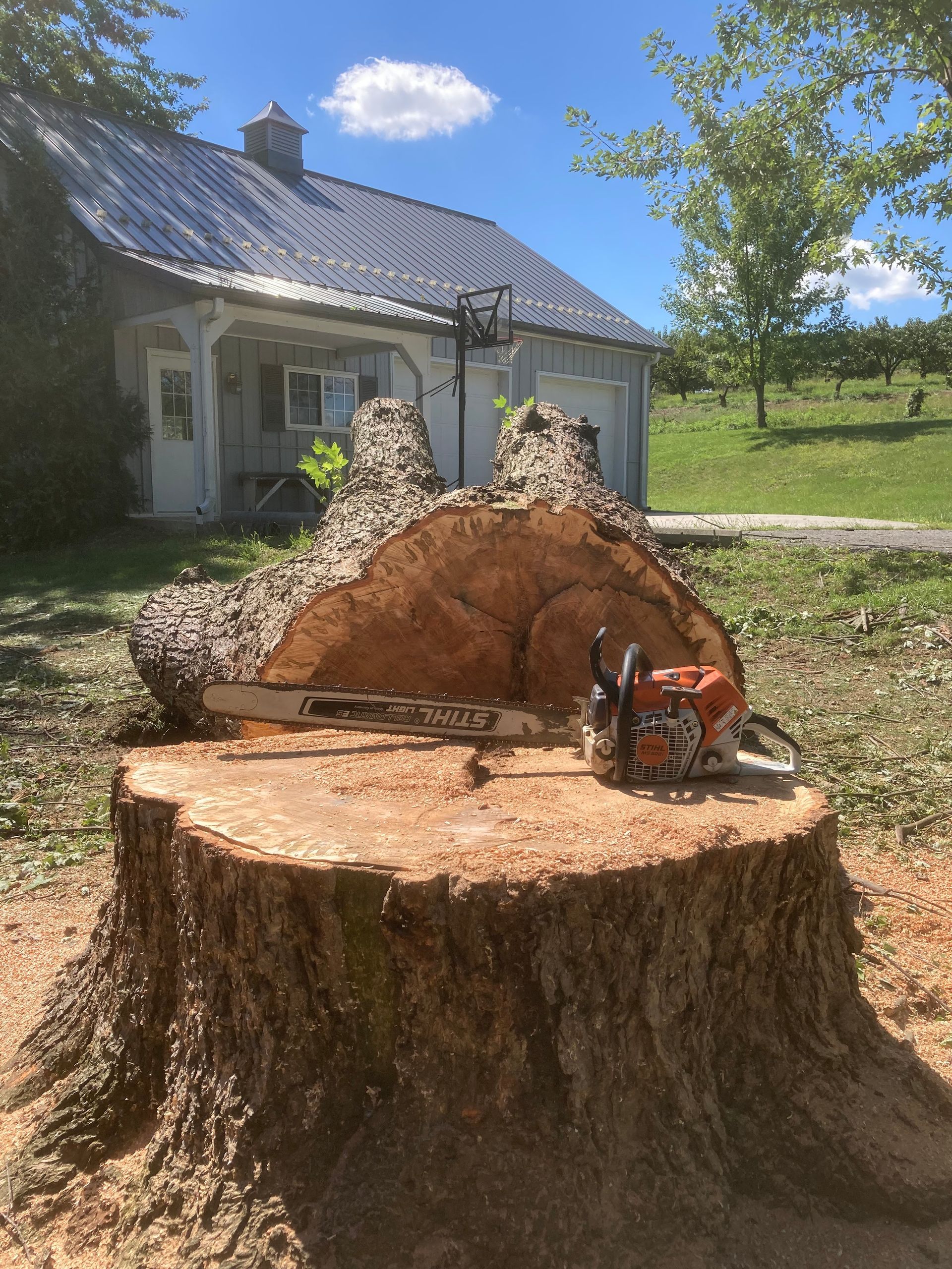 A person in a white apron is working in a kitchen