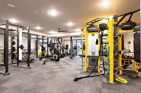 treadmills lined up in a gym