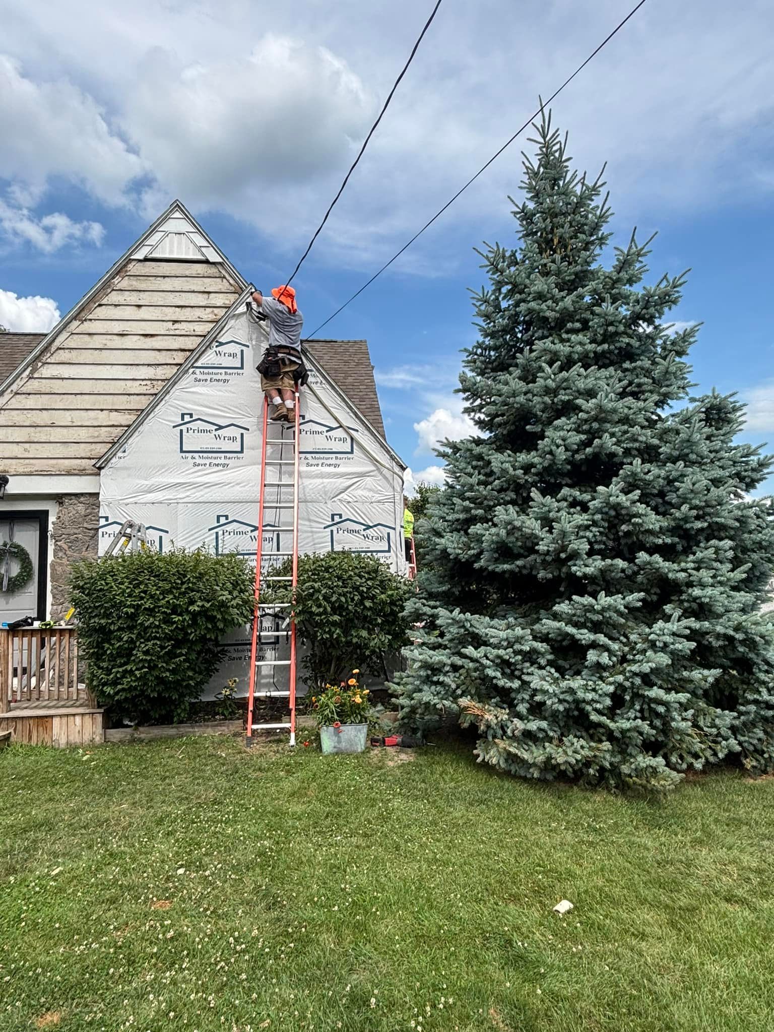 Two workers on a ladder repair a house with peeling paint. A large evergreen tree stands beside it.