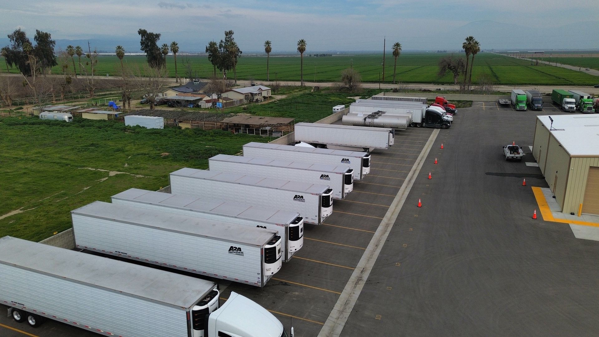 a row of semi trucks are parked in a parking lot .