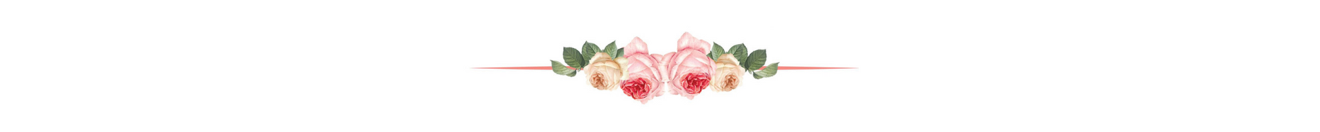 Floral divider with pink blossoms and green leaves on a white background