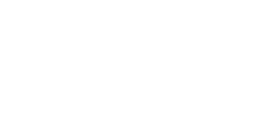 The Website Store Co - Professional Website Solutions