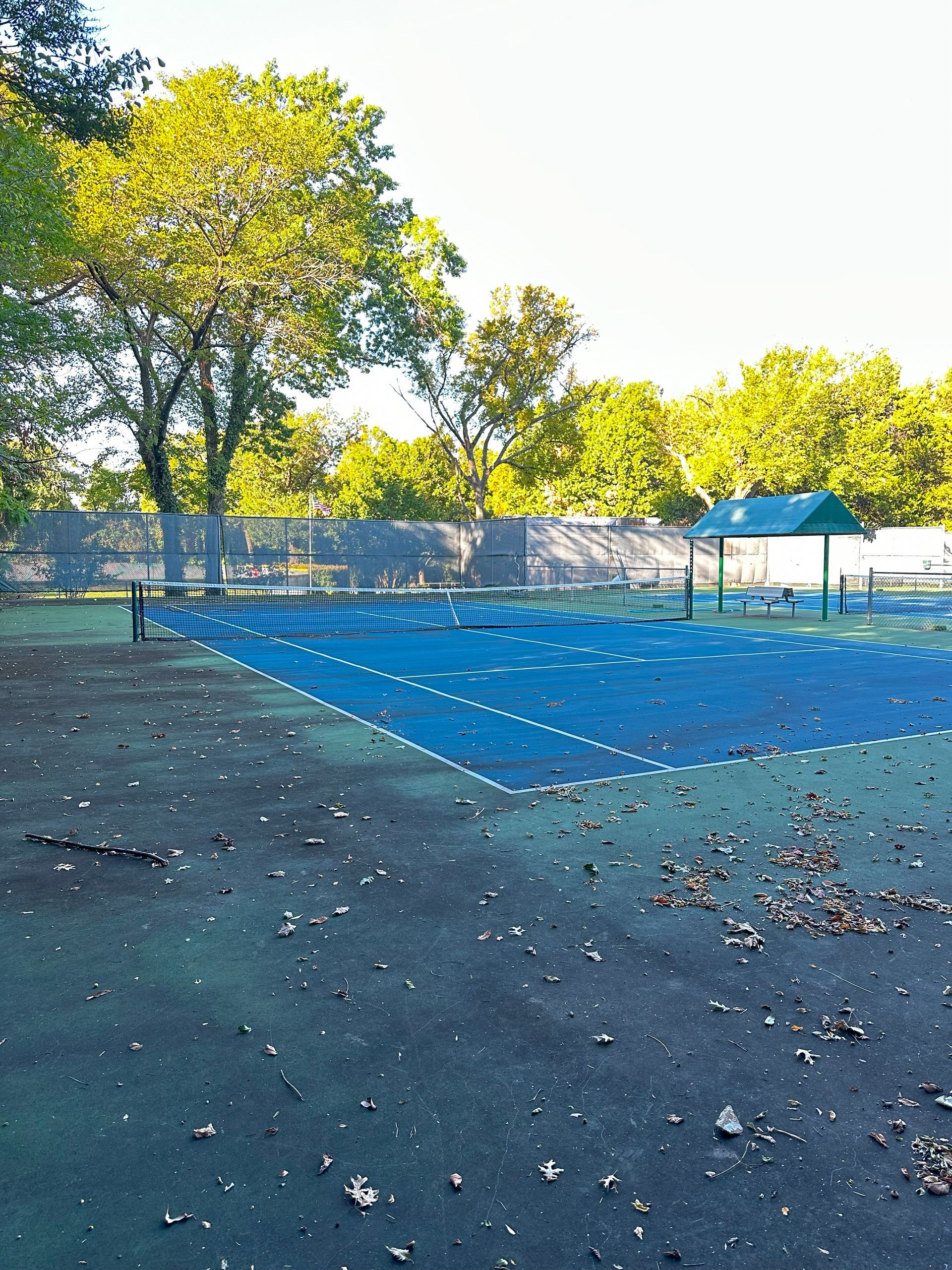 tennis court with black growth and debris all over it