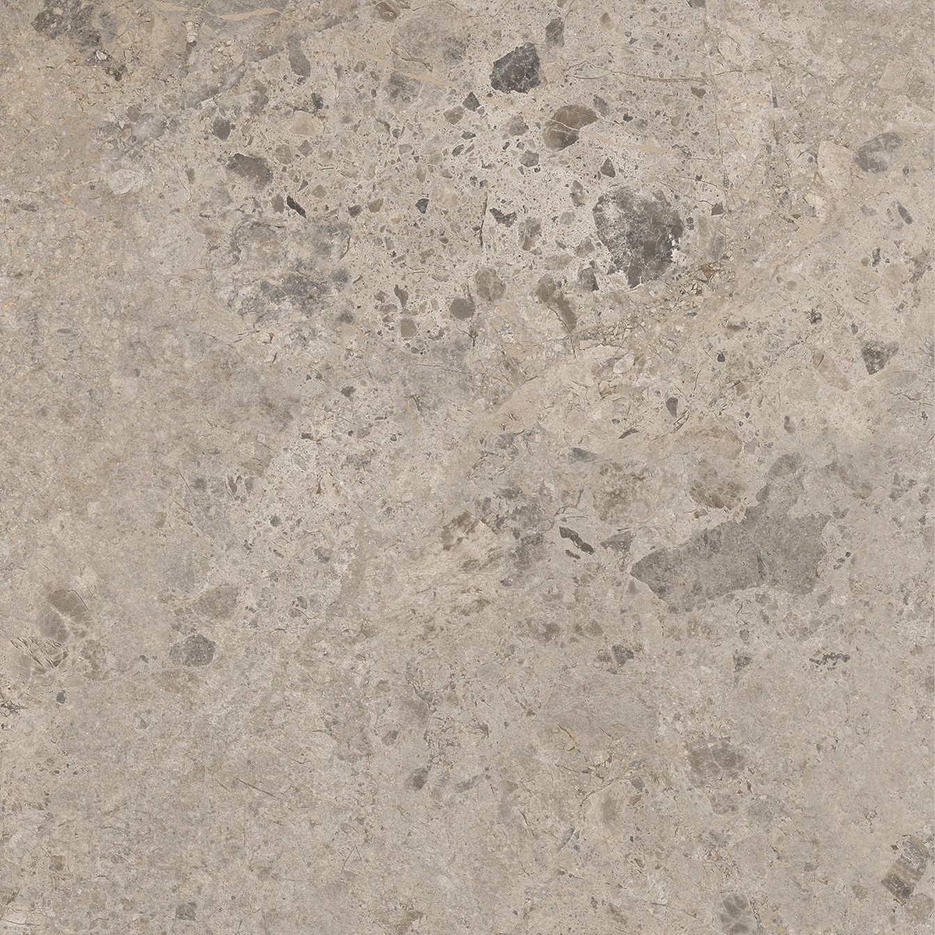 AMBIENTI TORTORA MATT 600 X 600