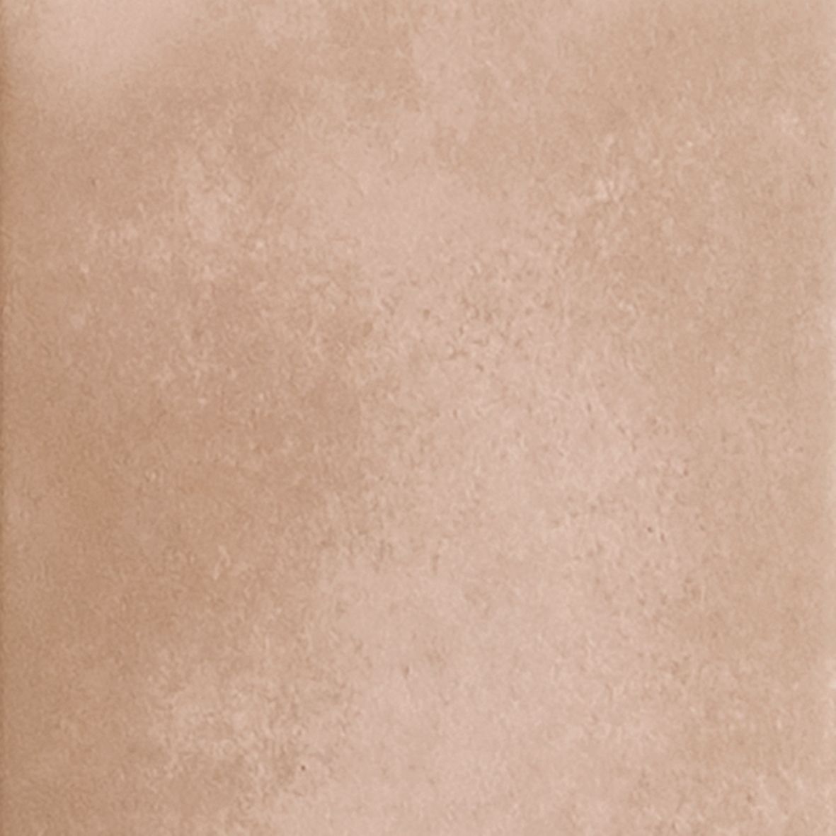 ROOM 12.10 ROSE LIGHT 100 x100