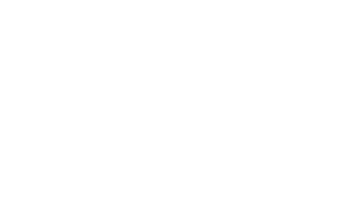 Pik-Nik Foods USA
