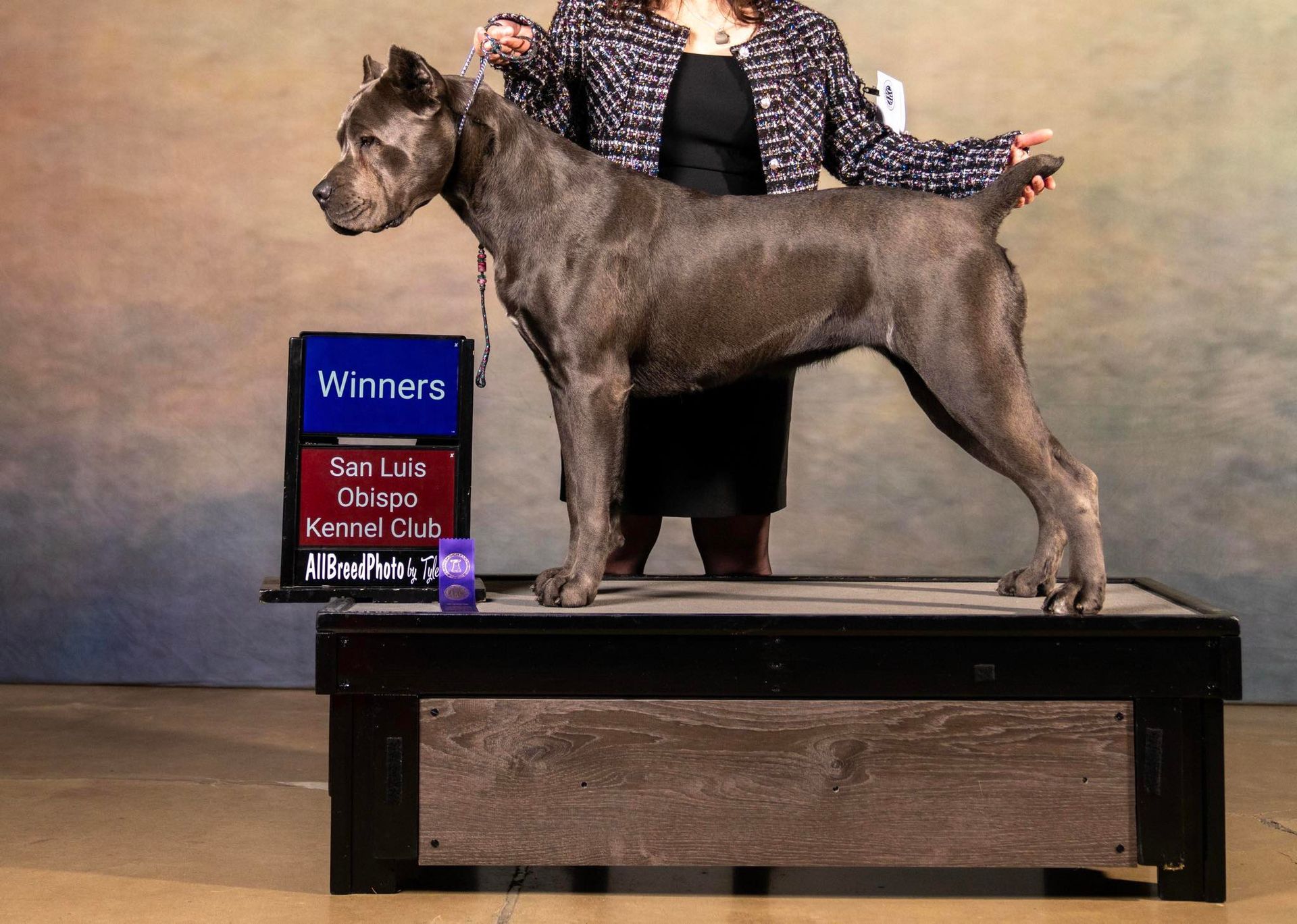 A woman standing next to a dog with a winner 's sign in the background
