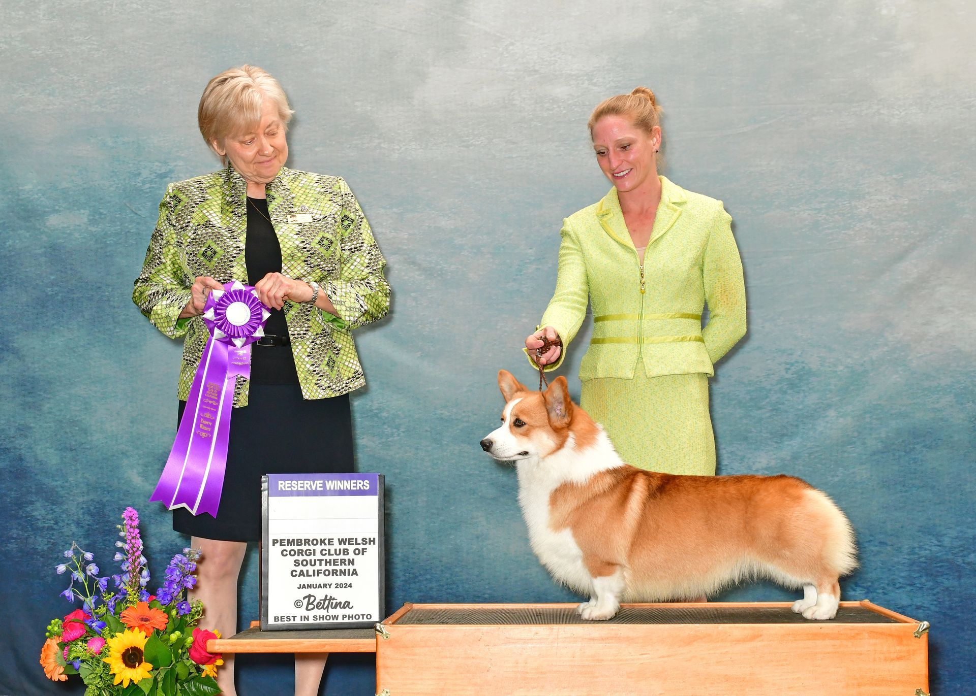 A woman is holding a purple ribbon next to a dog